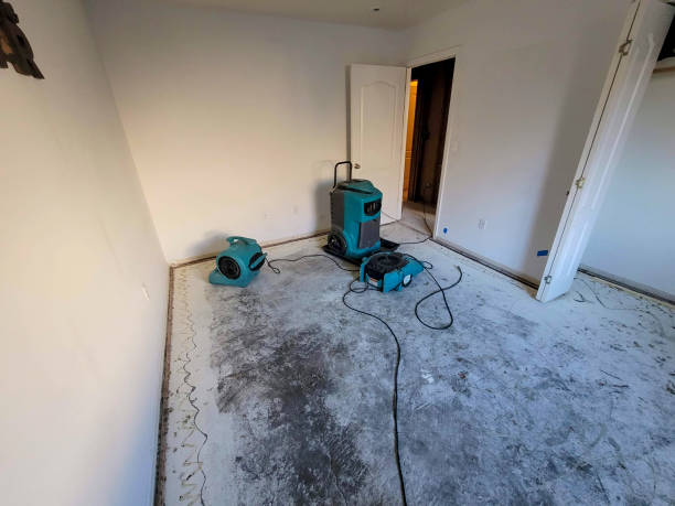 Best Water damage restoration mold remediation  in Spearville, KS