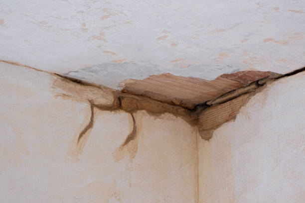 Best Basement water damage restoration  in Spearville, KS