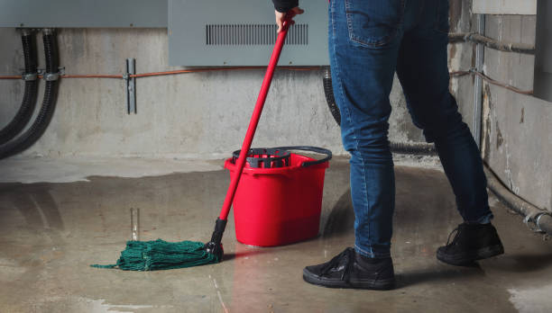 Best Professional water damage repair  in Spearville, KS
