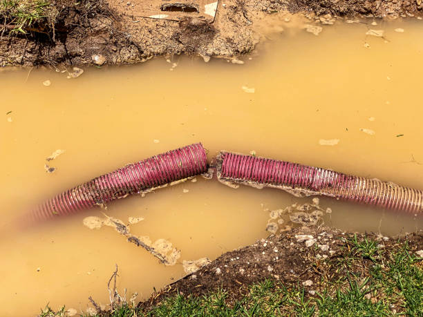 Best Water damage restoration experts  in Spearville, KS